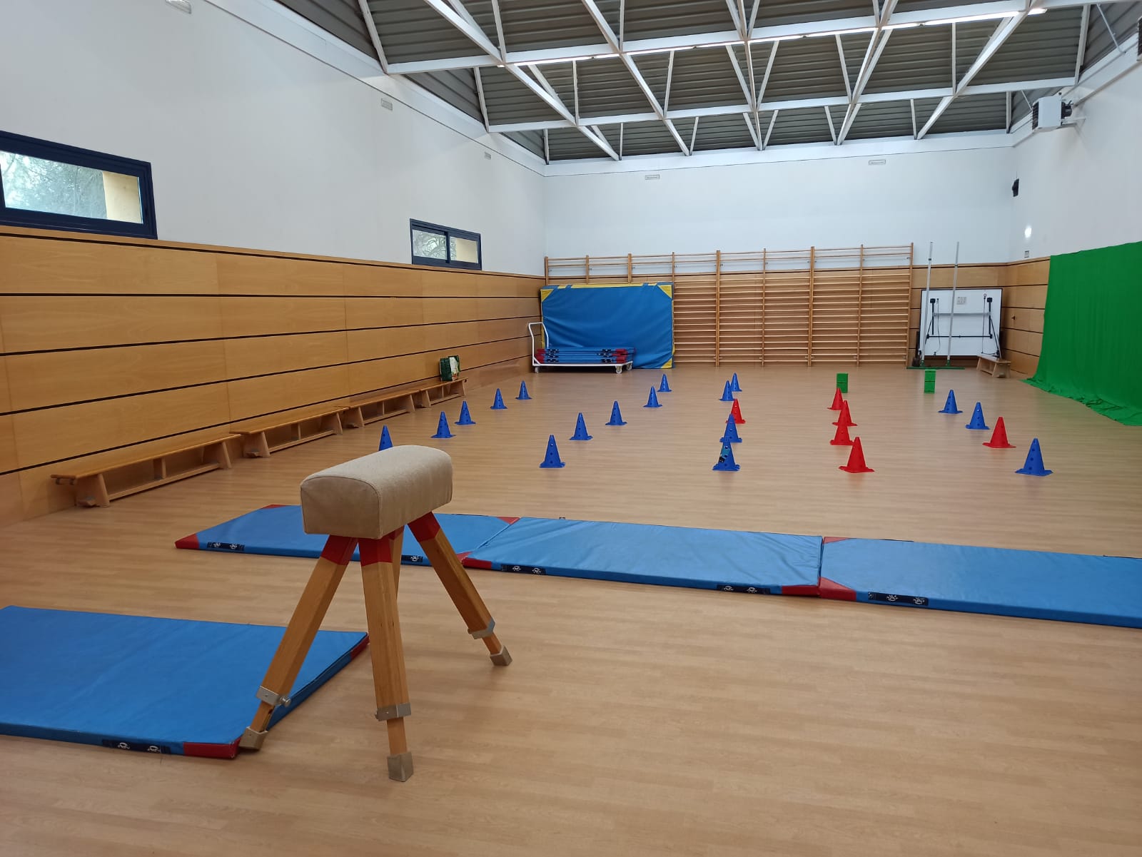 Instalaciones comunes: gimnasio